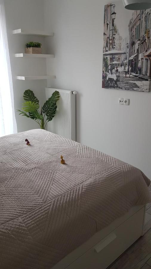 Boznicza Old Town Lux Apartment, Self Check-In 24H, Free Parking ポズナン エクステリア 写真